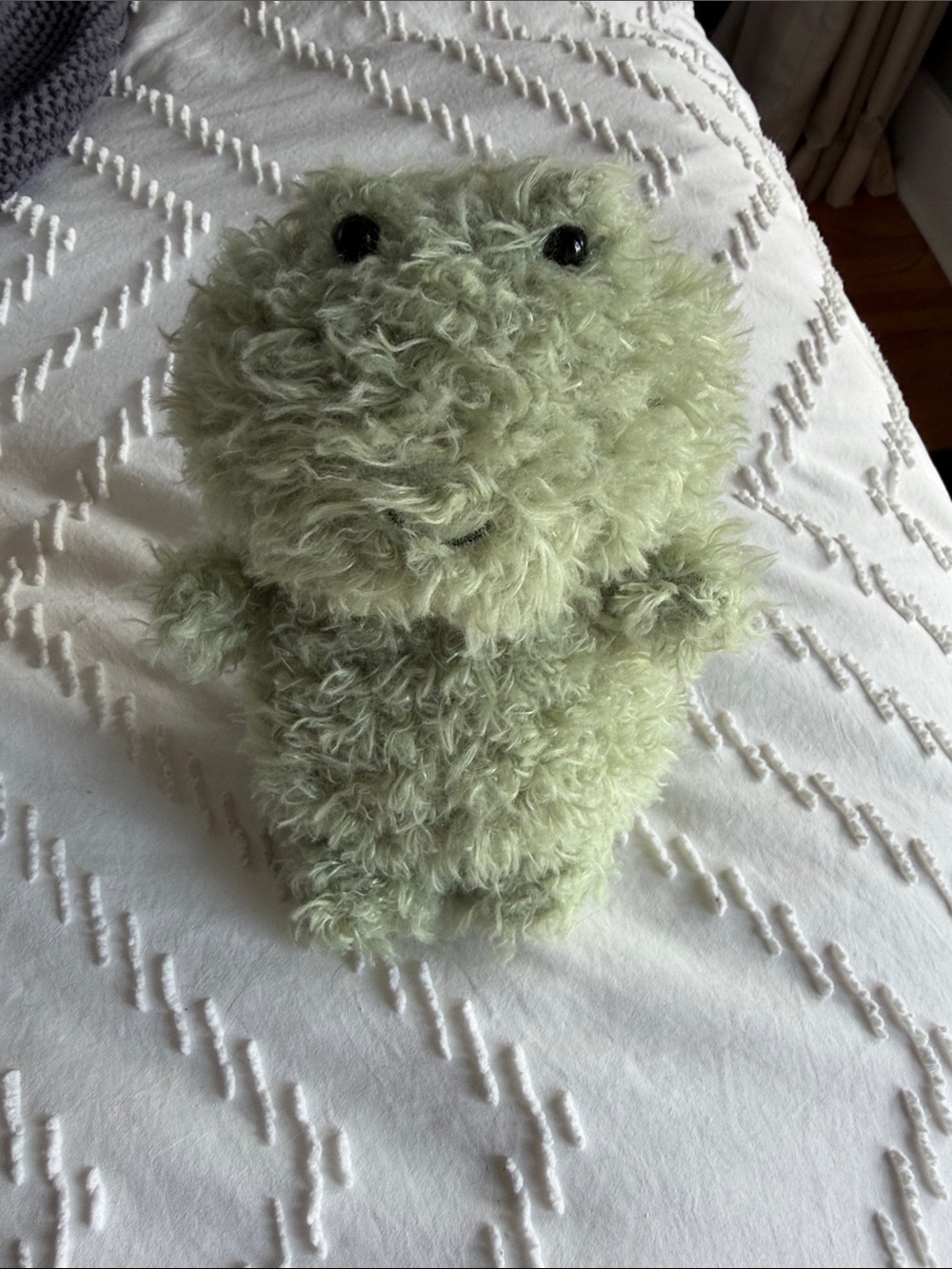 Jellycat Pale Green Shaggy Small stuffy